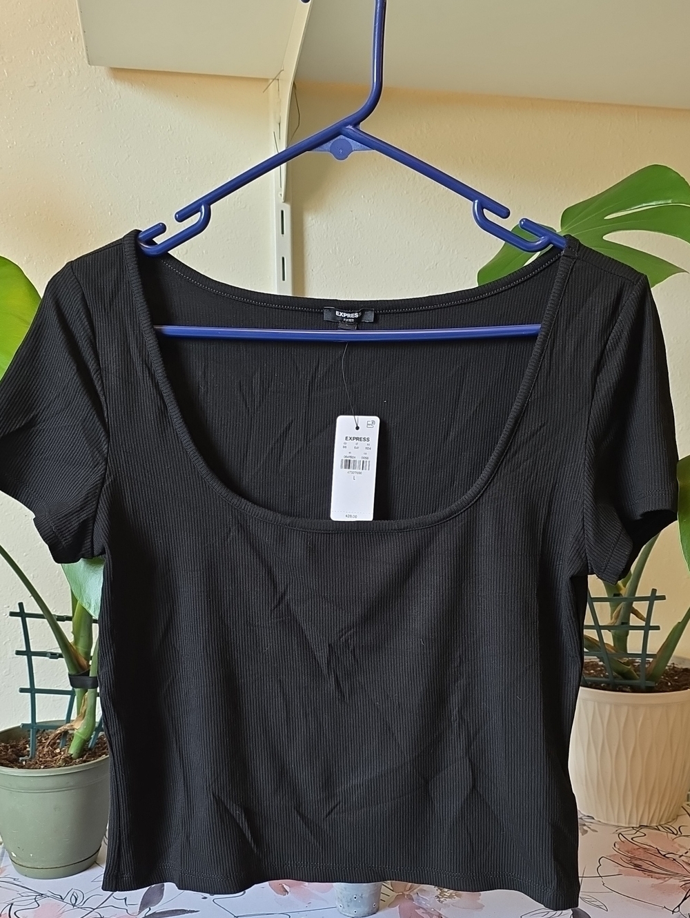 Express Black Ribbed Scoop Neck Short Sleeve Top
